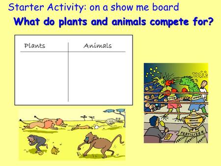Starter Activity: on a show me board What do plants and animals compete for? Plants Animals.