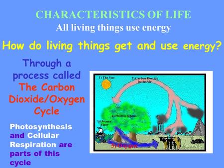 CHARACTERISTICS OF LIFE All living things use energy How do living things get and use energy ? Through a process called The Carbon Dioxide/Oxygen Cycle.