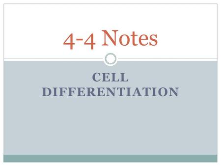 CELL DIFFERENTIATION 4-4 Notes. Differentiation Cells not only divide by mitosis to make 2 daughter cells, but they also differentiate. Differentiation.