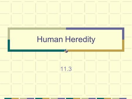 Human Heredity 11.3 Human Chromosomes Humans have 46 chromosomes Occurs in 23 pairs 22 pairs are autosomes 2 of the 46 are sex-determining chromosomes.