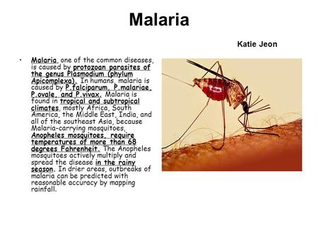 Malaria Katie Jeon Malaria, one of the common diseases, is caused by protozoan parasites of the genus Plasmodium (phylum Apicomplexa). In humans, malaria.