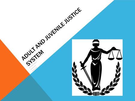 Adult and Juvenile Justice system