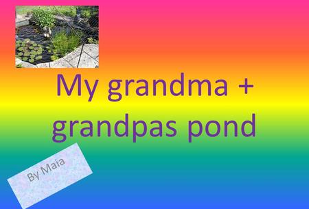 My grandma + grandpas pond By Maia. creature Yes or no Fish yes Tadpoleyes frogyes duckno Pond skateryes newt Results In there pond there are fish,