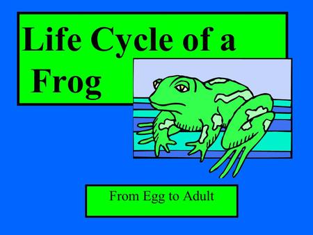 Life Cycle of a Frog From Egg to Adult.