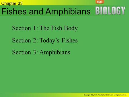 Fishes and Amphibians Section 1: The Fish Body