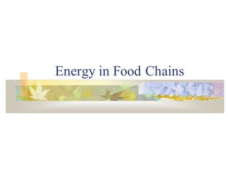 Energy in Food Chains B. ENERGY: THERMODYNAMICS 1st Law energy can neither be created nor destroyed it merely changes form solar  chemical  mechanical.