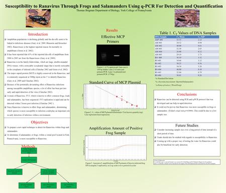 Susceptibility to Ranavirus Through Frogs and Salamanders Using q-PCR For Detection and Quantification Thomas Brigman Department of Biology, York College.