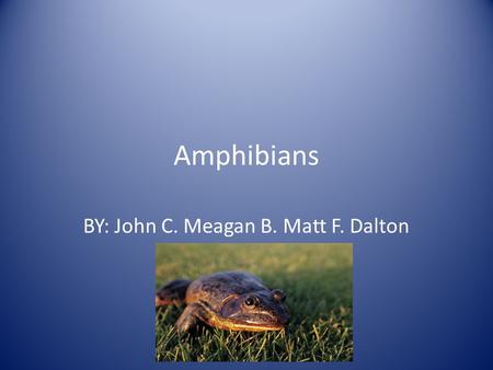 Amphibians BY: John C. Meagan B. Matt F. Dalton C. Kalob S.
