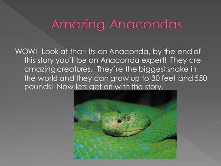 Amazing Anacondas WOW! Look at that! Its an Anaconda, by the end of this story you`ll be an Anaconda expert! They are amazing creatures. They`re the.
