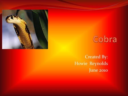 Created By: Howie Reynolds June 2010. Introduction I am like a long slimy hissing stick on the ground. If you get too close I might bite. I am a cobra.