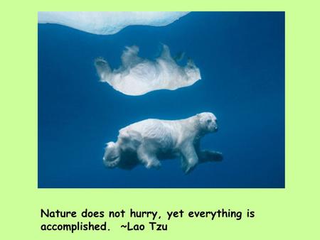 Nature does not hurry, yet everything is accomplished. ~Lao Tzu.