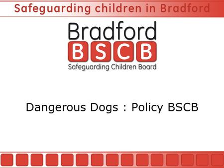 Dangerous Dogs : Policy BSCB. Child Injury Prevention Coordinator Introduction BSCB The Role of the Injury Prevention Coordinator Dangerous Dogs Policy.