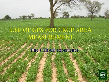 USE OF GPS FOR CROP AREA MEASUREMENT The CIRAD experience.
