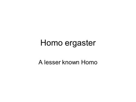 Homo ergaster A lesser known Homo.