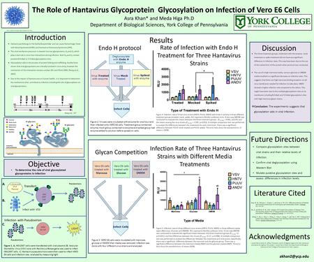 The Role of Hantavirus Glycoprotein Glycosylation on Infection of Vero E6 Cells Asra Khan* and Meda Higa Ph.D Department of Biological Sciences, York College.