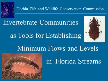 Florida Fish and Wildlife Conservation Commission Invertebrate Communities as Tools for Establishing Minimum Flows and Levels in Florida Streams.
