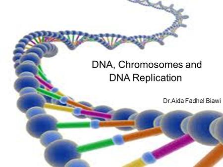 DNA, Chromosomes and DNA Replication