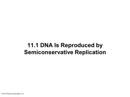 © 2012 Pearson Education, Inc. 11.1 DNA Is Reproduced by Semiconservative Replication.