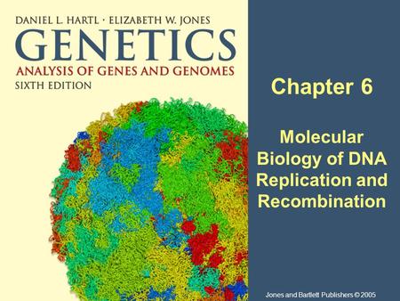 Chapter 6 Molecular Biology of DNA Replication and Recombination Jones and Bartlett Publishers © 2005.