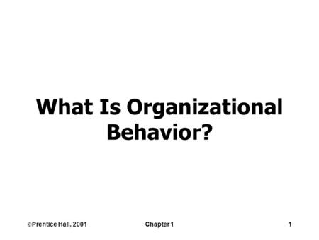 ©Prentice Hall, 2001Chapter 11 What Is Organizational Behavior?