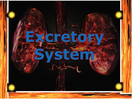 Table of Contents Slide 1. What is the role of the excretory system in the human body: Slide 2. what are the major organs: Slide3: how do theses organs.