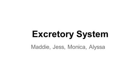 Excretory System Maddie, Jess, Monica, Alyssa. The Urinary System (1, 2) Consists of: 2 kidneys, 2 ureters, 1 urinary bladder, and 1 urethra Function:
