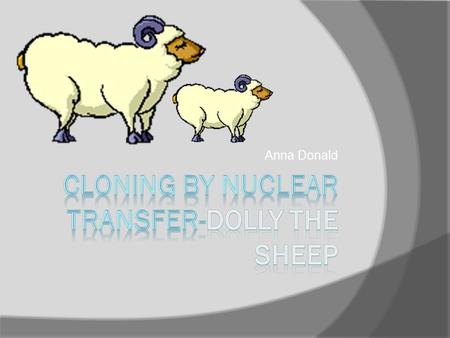 Anna Donald. Nuclear transfer  Nuclear transfer is a process of cloning, where cells are fused together to create a clone. This is how Dolly the sheep.