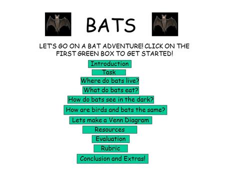 BATS LET’S GO ON A BAT ADVENTURE! CLICK ON THE FIRST GREEN BOX TO GET STARTED! Introduction Task Where do bats live? What do bats eat? How do bats see.