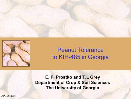 Peanut Tolerance to KIH-485 in Georgia E. P. Prostko and T.L Grey Department of Crop & Soil Sciences The University of Georgia APRES-2008.