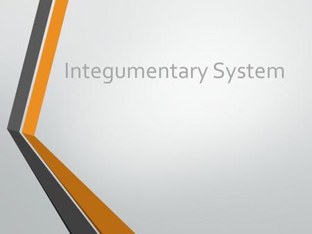 Integumentary System.