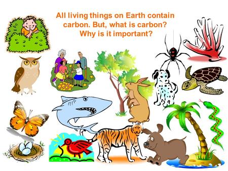 All living things on Earth contain carbon. But, what is carbon? Why is it important?