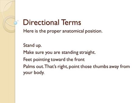 Directional Terms Here is the proper anatomical position. Stand up. Make sure you are standing straight. Feet pointing toward the front Palms out. That’s.