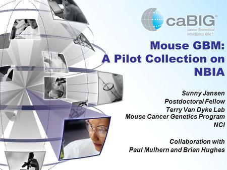 May 2007 Mouse GBM: A Pilot Collection on NBIA Sunny Jansen Postdoctoral Fellow Terry Van Dyke Lab Mouse Cancer Genetics Program NCI Collaboration with.