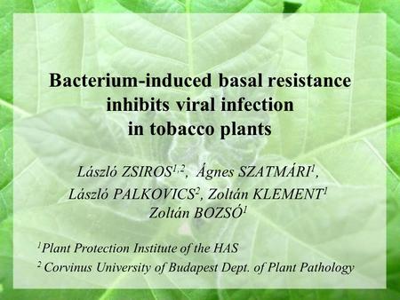 Bacterium-induced basal resistance inhibits viral infection in tobacco plants László ZSIROS 1,2, Ágnes SZATMÁRI 1, László PALKOVICS 2, Zoltán KLEMENT 1.