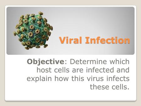 Viral Infection Objective: Determine which host cells are infected and explain how this virus infects these cells.