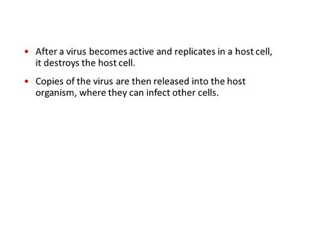 After a virus becomes active and replicates in a host cell, it destroys the host cell. Copies of the virus are then released into the host organism, where.