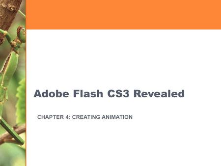 Adobe Flash CS3 Revealed
