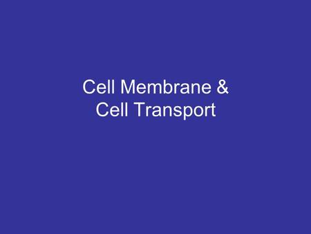 Cell Membrane & Cell Transport. What does the cell membrane look like? It consists of 2 layers of lipids with their tails pointed inward. These lipids.