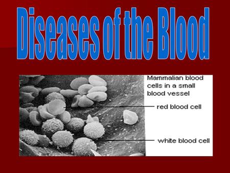 Blood is made up of different types of cells. Red Blood Cells Red Blood Cells  Disc shaped, carries oxygen in the blood and iron.
