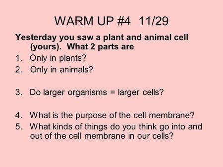 WARM UP #4 11/29 Yesterday you saw a plant and animal cell (yours). What 2 parts are 1. Only in plants? 2.Only in animals? 3. Do larger organisms = larger.
