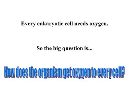 Every eukaryotic cell needs oxygen. So the big question is...