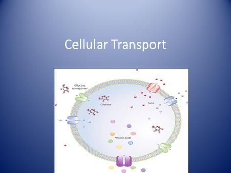 Cellular Transport. Introduction to Cell Transport Cell transport= moving materials in and out of a cell All living cells need to be able to: – Take in.