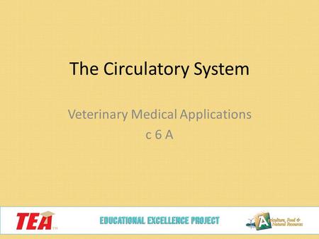 The Circulatory System Veterinary Medical Applications c 6 A.