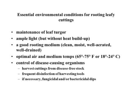 Essential environmental conditions for rooting leafy cuttings