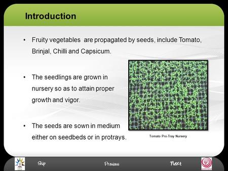 Introduction Fruity vegetables are propagated by seeds, include Tomato, Brinjal, Chilli and Capsicum. The seedlings are grown in nursery so as to attain.