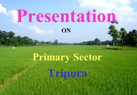 Presentation ON Primary Sector Tripura. PERSPECTIVE PLAN ACHIEVEMENTS AGRICULTURE COMPONENTS1999-2000 Before Perspective Plan 2005-062006-07 Foodgrains.