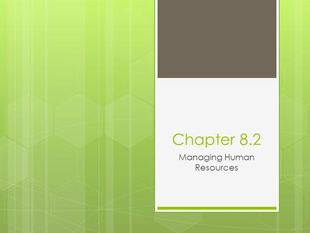 Chapter 8.2 Managing Human Resources. Human Resources Planning & Job Analysis  Classifying employees  Determining job requirements.
