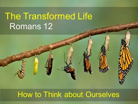 The Transformed Life Romans 12 How to Think about Ourselves.