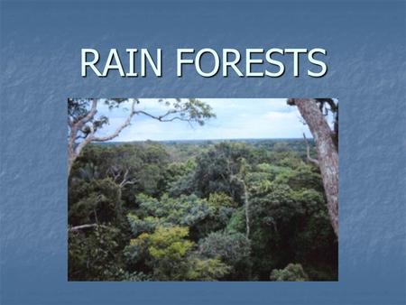 RAIN FORESTS. What is a rain forest? What is a rain forest? A forest region located in the Tropical Zone with a heavy concentration of different species.