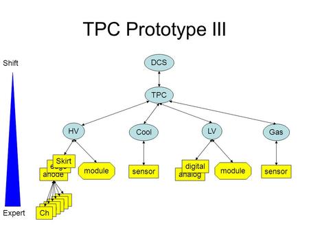TPC Prototype III TPC module anode HV edge LV module analog digital Cool sensor Gas sensor Shift Expert DCS Ch Skirt.